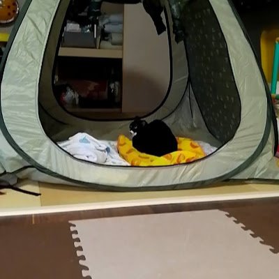 Hx3wWAW0MD29KZB's profile picture. リアピファン☺️こぺ＆こーた推しです💚💛息子９歳はこぺ推しです💚