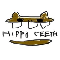 ヒッポティース (@hippoteeth_band) Twitter profile photo