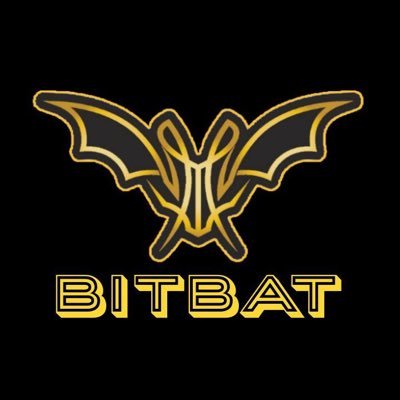 BitBattoken's profile picture. 🦇💎🚀BITBAT is a idea born during a strange night.That evening we watched The Dark Night for the 100th time...looking BTC crash on chart! 🦇💎🚀