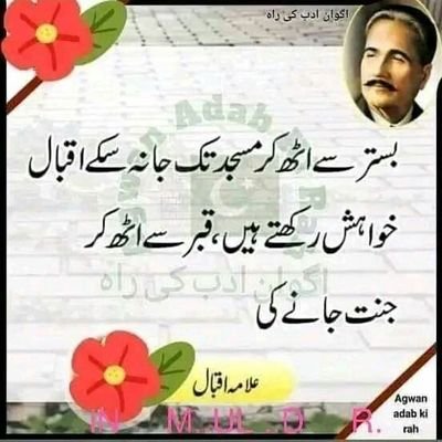 ShahidChatha12's profile picture. 