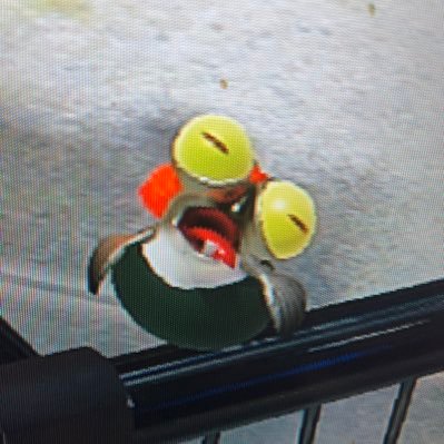 まめさんのプロフィール画像