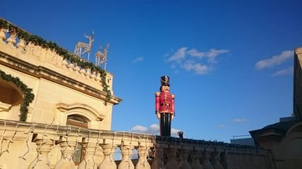 sasaa_70445's profile picture. 