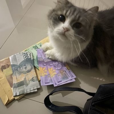 debydwiputri4's profile picture. 