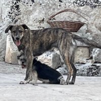 Hugo Barton (@hugobarton1) 's Twitter Profile