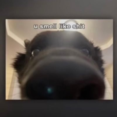 Terpii_'s profile picture. #AuroraOnTop