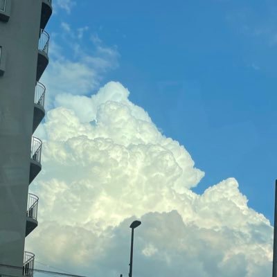 balletstbs's profile picture. 