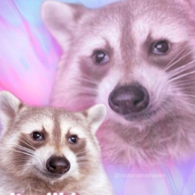 acadclients's profile picture. deleting our tweets for safety purposes