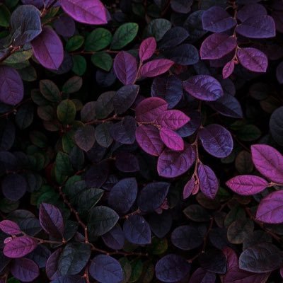 KoshikaSharma12's profile picture. No hurry no pause💫💫