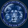 lionsroarse16's profile picture. 