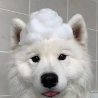 𝗇𝗈𝗈'𝗂𝗈𝗇𝗇 シ (@twxnnooion) 's Twitter Profile Photo 𝗇𝗈𝗈'𝗂𝗈𝗇𝗇 シ (@twxnnooion) 's Twitter Profile Photo