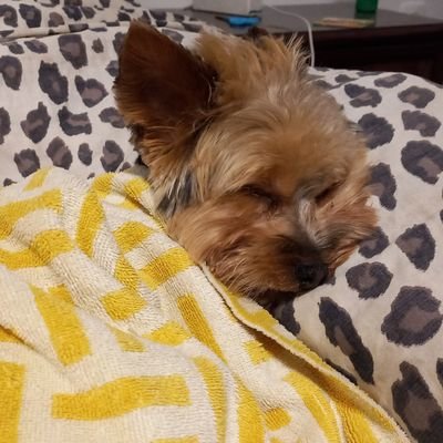 vukasinpro1's profile picture. 