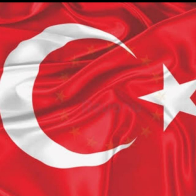 cagricelik404's profile picture. 
