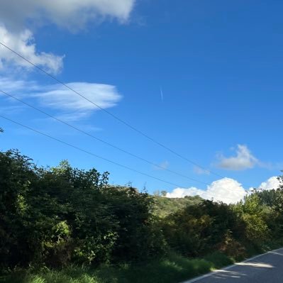 lion262600's profile picture. 