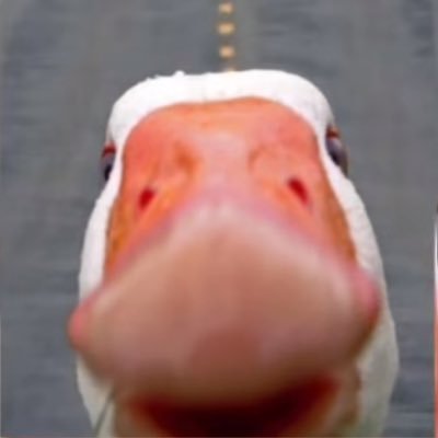 CornishSeb's profile picture. I FOLLOW BACK 🤫