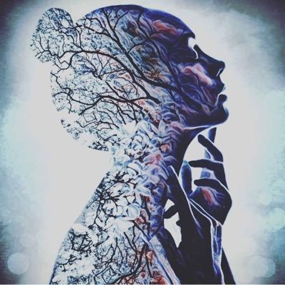 أكلُّ ريآح هذه الأرض ضد جنآح عصفور ؟