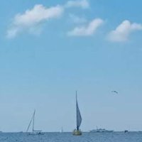 Baris can (@barisca40799395) 's Twitter Profile