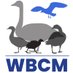 Waterbird Colour-marking Group (@WaterbirdCM) Twitter profile photo