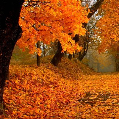 roadyp75's profile picture. https://t.co/SxYVnkIwIO…
FOR MORE GREAT YOUTUBE VIDEOS!!!
RELAX, RELAX, and RELAX !!!
#relaxingnaturesoundsandscenesbyrod - YOUTUBE CHANNEL