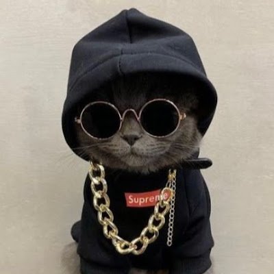 LessardMatteo's profile picture. 