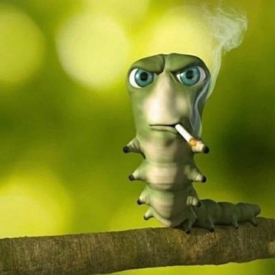 Ester27867129's profile picture. uh all u need to know is that I love chuckle sandwich and tedtwt (minor)