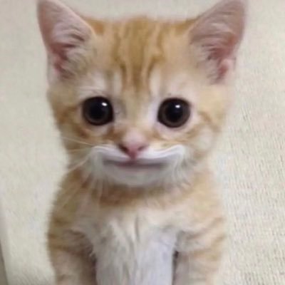 nattiepattie2's profile picture. lurker