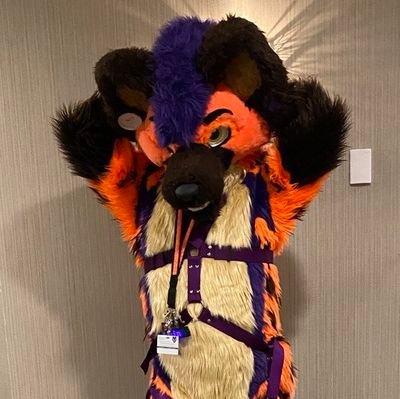 #NSFW | 🔞 18+ Only 🔞 | 🍆Vers🍑 | Suit self-made | Single | 22 | 🏳️🌈 | A big, dumb, and definitely NOT stinky yeen just tryna have fun ⚡️