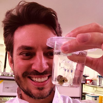 Limnologist & parasitologist @NHM_london | In charge of @SchistoSSR snail lab | PhD @fondazionemach @uniinnsbruck | Schistosomes | Snails | Rotifers | Views own