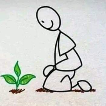 *Ing. Agrónomo Especialista en Suelos.
*Servidor Público.
*Administrador de Zona 7.