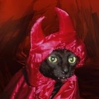 gato mefistófeles 🇵🇸(@GatoMefistfele1) 's Twitter Profile Photo