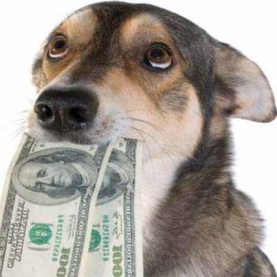 Dog Money is the future, comedy, memes, metaverse, charity, do only good everyday. NFA.  Best Low to High-Cap memecoins #Superdoge #babydoge, #shiba, #dogecoin