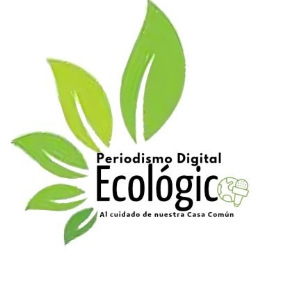 Por una #ecologiaintegral al servicio de nuestra #casacomun 🌱🌍 Todos podemos colaborar como instrumentos de Dios para el cuidado de la creación (LS 14)