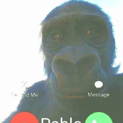 yassfifi's profile picture. Não posto nada, apenas aprecio as tretas