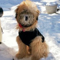 EB Meadows (@meadowswriting) 's Twitter Profile Photo EB Meadows (@meadowswriting) 's Twitter Profile Photo