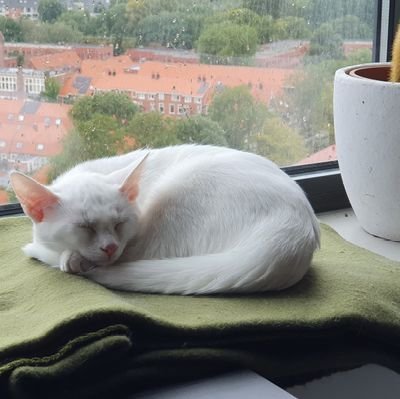 Student 👩‍🔬 in Groningen. Zelfde slaapschema als mijn katten 🐱