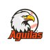 Águilas del Zulia (@aguilasdelzulia) Twitter profile photo