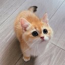 arvindkumar morya - @Erin_Joe_ - Twitter