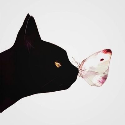 5b7abb042526440's profile picture. 