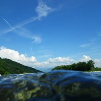 山梨県漁連 (@yamanashigyoren) Twitter profile photo