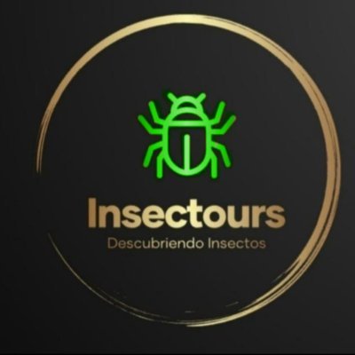 Insectours Profile Picture