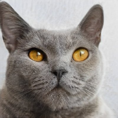 Dong_July29's profile picture. 