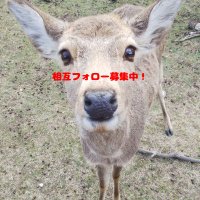 西生駒えき😋奈良うまいもん調査隊(@nishiikoma) 's Twitter Profile Photo
