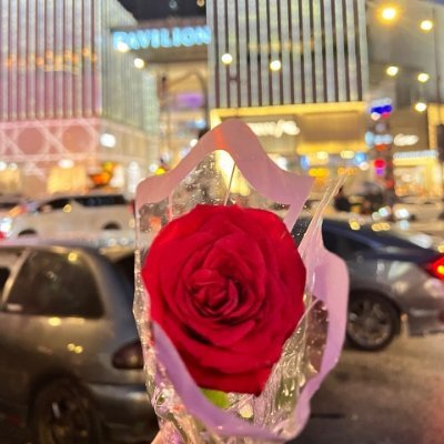 EleCurtain's profile picture. What I feel tired, want to relax, want to go out for a walk, think about the next step in life.