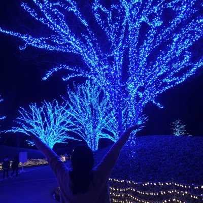 Ino_sango's profile picture. 🗽や🧚‍♂️など！無言フォロー失礼しますm(*_ _)m