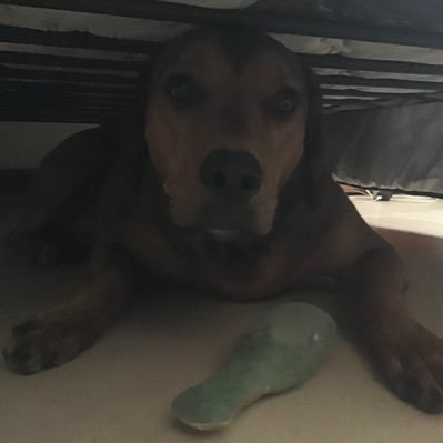 cost929292929's profile picture. Hi