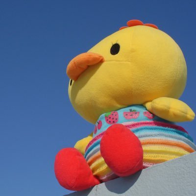 🐥きむらー🍊さんのプロフィール画像