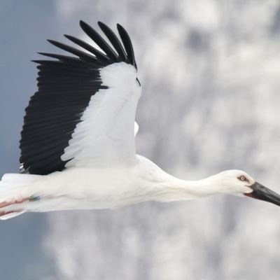 maruta94602226's profile picture. 戦争と娯楽