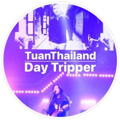 TuanThailand/ Day Tripper / futon and more.