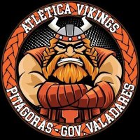 Vikings Esports (@vkg_esports1) 's Twitter Profile Photo Vikings Esports (@vkg_esports1) 's Twitter Profile Photo