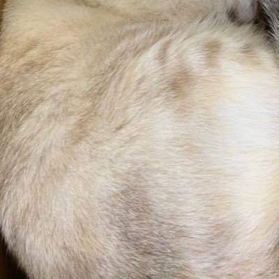 祝日さんのプロフィール画像