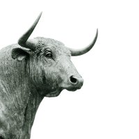 The Bullish Trader (@super_kern) 's Twitter Profile